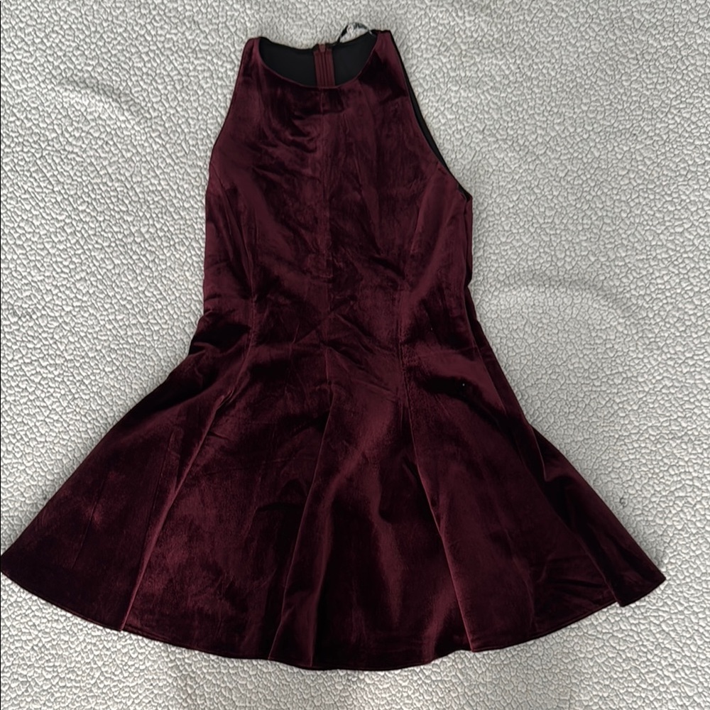 Zara Burgundy Velvet Dress